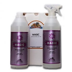 MAGIC 2L