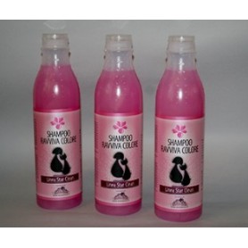 SHAMPOO RAVVIVA COLORE