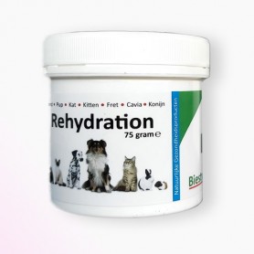 MISCELA DI ELETTROLITI  Reydration 75 gr